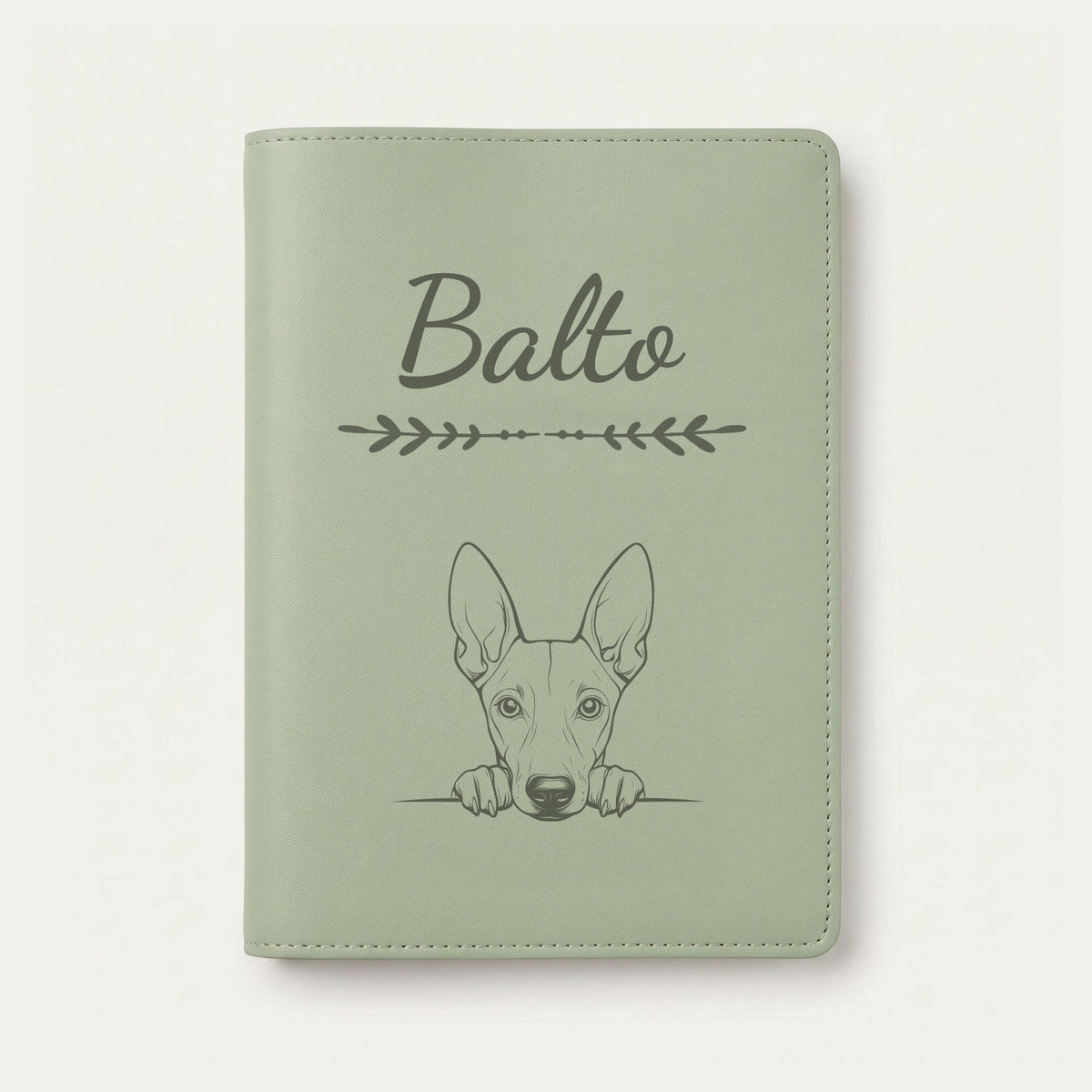 Protège carnet de santé chien personnalisé – Chien du pharaon — Vert sauge — Flèche — gravure « Balto »