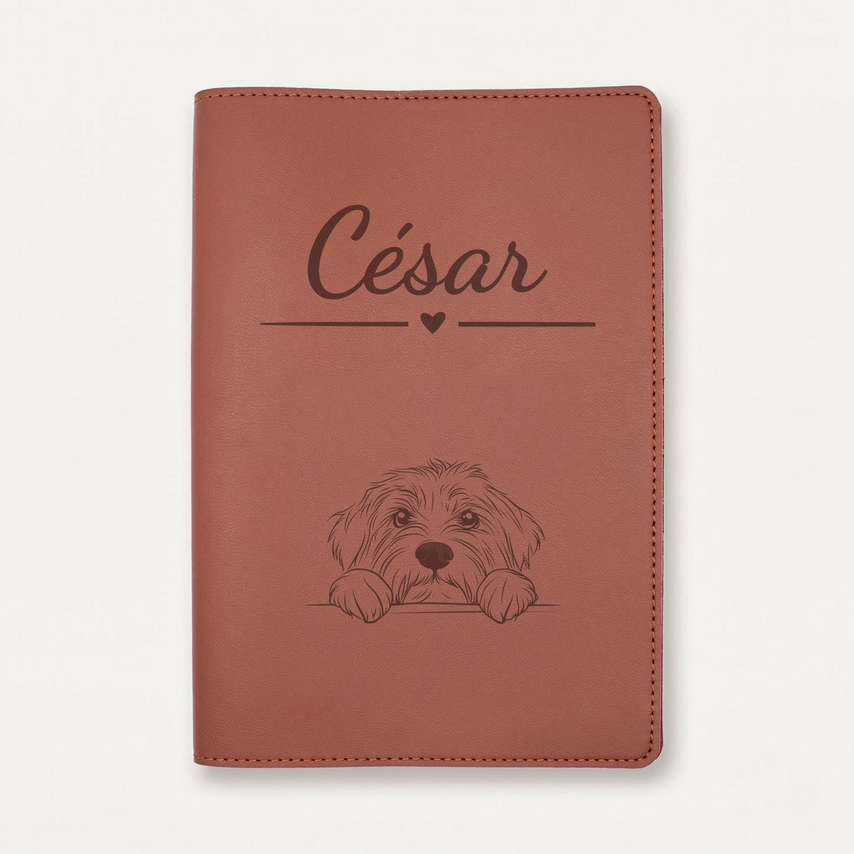 Protège carnet de santé chien personnalisé – Colley barbu — Chocolat — Cœur — gravure « César »